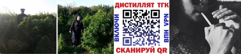 ТГК вейп  Нахабино 