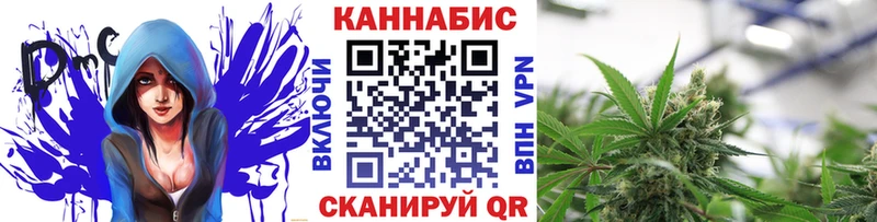 купить   Нахабино  OMG маркетплейс  МАРИХУАНА THC 21% 